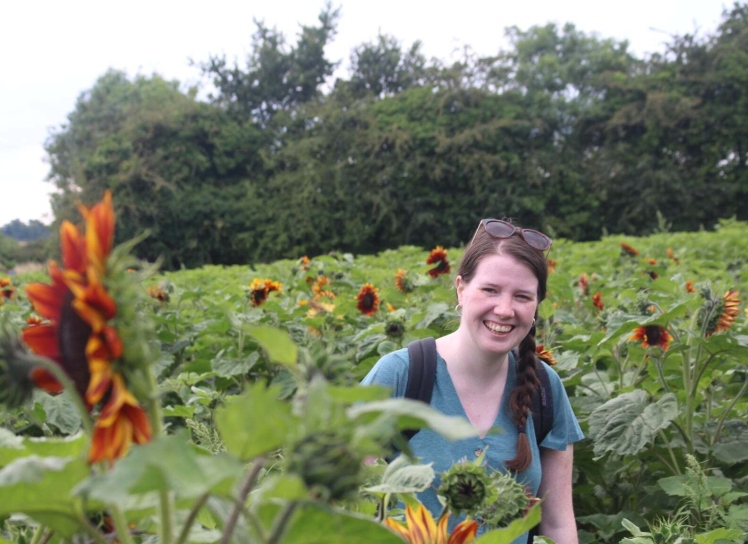 Rebecca Feely Sunflowers 1