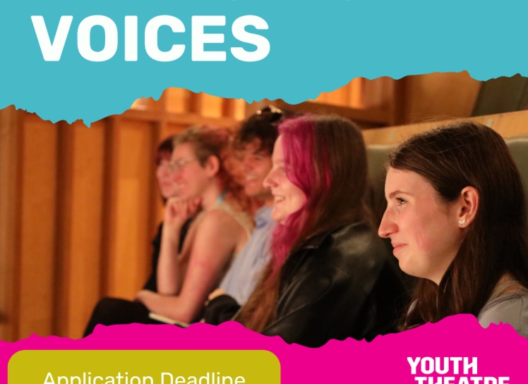 Emerging Voices